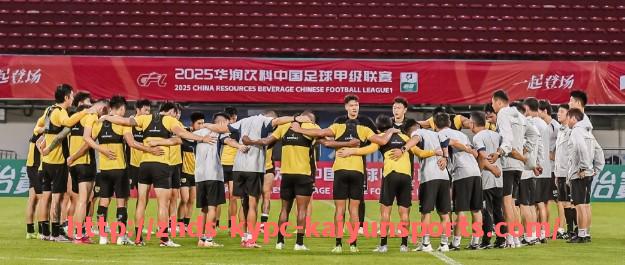 ky开云体育-德甲阵营有哪些球队构成?德国顶级联赛结构详解