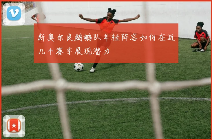 新奥尔良鹈鹕队年轻阵容如何在近几个赛季展现潜力