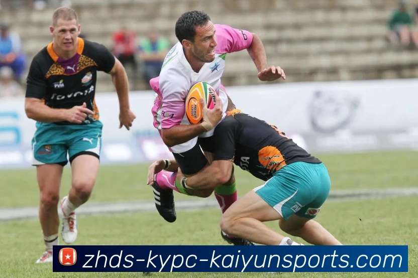 多媒体互动体验