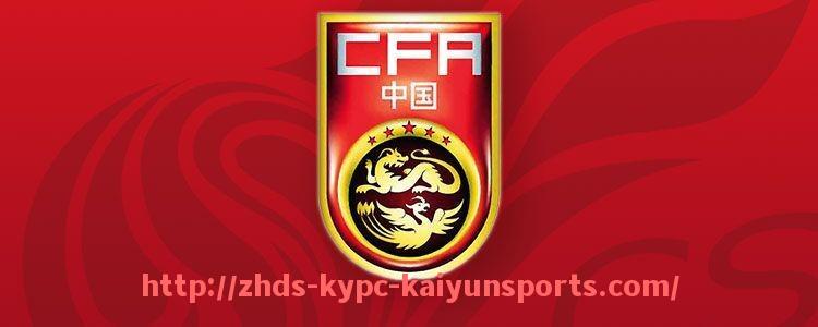 ky开云体育-法甲外援贡献数据汇总及对比分析报告（2024赛季）